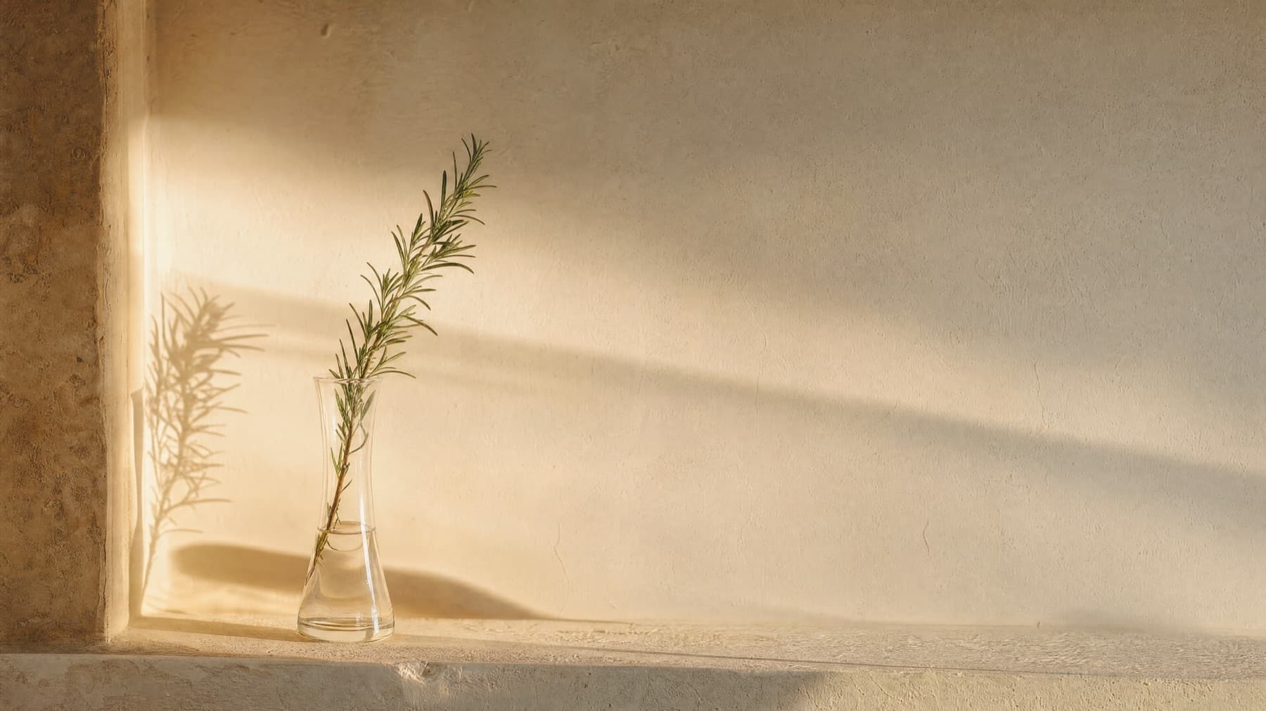 A sprig of rosemary in a glass vase, lit by soft afternoon light